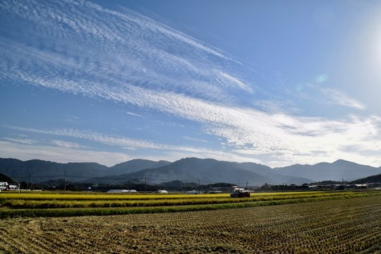 October in Itoshima, Fukuoka, Japan  10月 糸島市