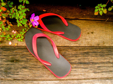 black and red slipper on the wood