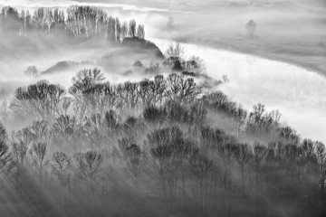 Fototapeta premium Landscape with fog and trees in winter