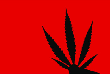 cannabis leaf on black background