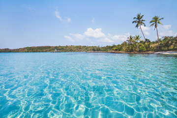turquoise water on paradise beach on tropical island, holidays background, exotic tourism destination landscape