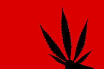cannabis leaf on black background