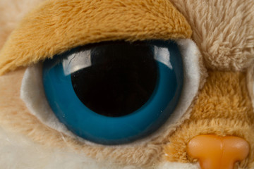 Big eye of a toy