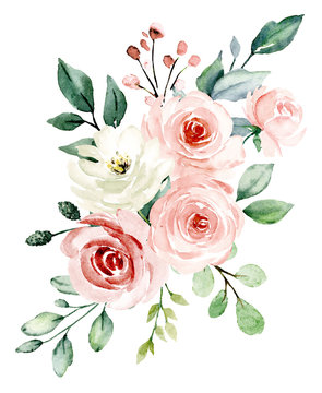 Pink flowers watercolor, floral clip art. Bouquet blush roses perfectly for printing design on invitations, cards, wall art and other. Isolated on white background. Hand painting. 
