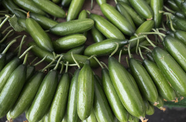 green cucumbers