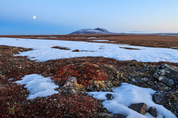 Scenic landscape with tundra, lonely mountain and moon. In June in the Arctic in the tundra, not...
