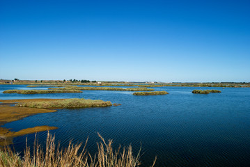 The Marismas of Isla Cristina in the province of Huelva, Andalusia