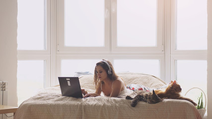 Obraz premium Young beautiful woman lying on bed by the window. Working with laptop. Maine coon cats sitting near. 3840x2160