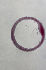 Wine stain circle
