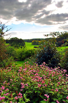 Topiary Gardens At Hinton Ampner, A Stately Home Near Alresford, Hampshire, England UK