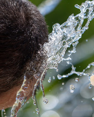 The head of a man in the spray of water of the fountain