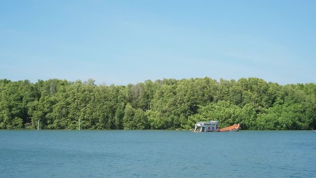 4k mangrove forest (Ceriops decandra) Also known as the Golden Meadow Prong destinations of Rayong, Thailand is a natural shoreline.