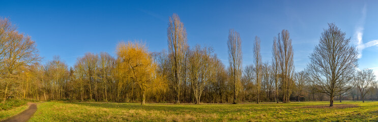 Obraz premium Der Niddapark in Frankfurt am Main im Herbst