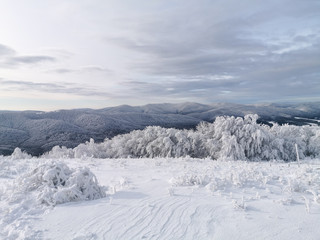 Fototapeta na wymiar Winter landscape with trees and snow, Bieszczady, Poland
