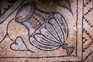 Casa dei Tappeti di Pietra, Ravenna