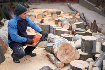 Sawyer bucking logs