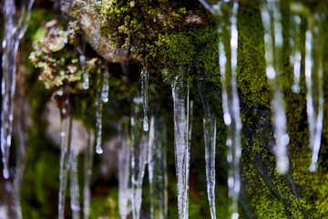 Icicles from a frozen waterfall