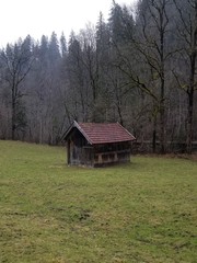 old wooden building in the forest