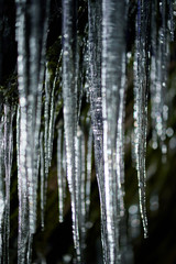 Obraz premium Icicles from a frozen waterfall