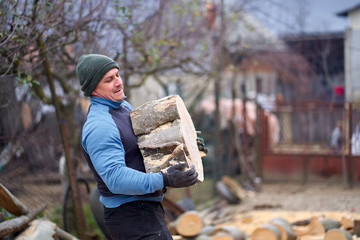 Fototapeta premium Lumberjack moving beech logs