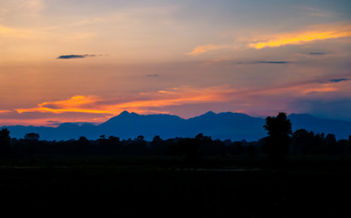 A Landscape in Chitwan NAtional Park
