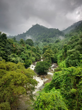 Image of Thusharagiri Falls between dense green forest in Wayanad, Kerala, India.