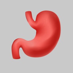 Human realistic stomach icon vector flat illustration. Cartoon internal organ symbol digestive system anatomy graphic design isolated on white background