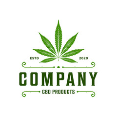 marijuana / cannabis logo design template . classic vintage retro style