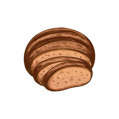 Brown bread loaf vector icon, bakery product. Round pastry food and slices sketch