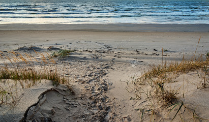 Shore of the Baltic sea.