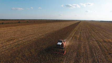 aerial view of harvesting fields with a harvester, harvester working in the field