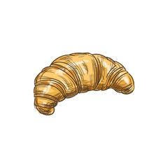 Croissant isolated French crescent-shaped roll. Vector sketch of sweet flaky pastry, european breakfast