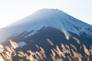 葉書や年賀状にピッタリな美しいクローズアップの富士山とススキ