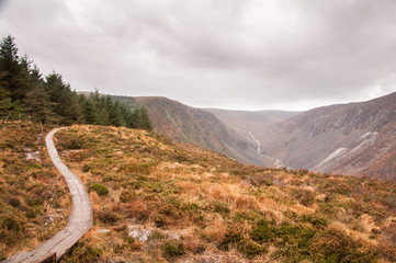 Fall in the Wicklow Mountains National Park in Ireland