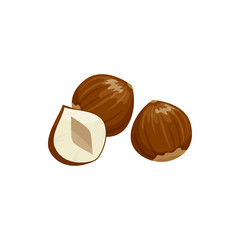 Hazelnut cobnut or filbert nut isolated food snack. Vector nut of hazel whole and cut
