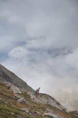 Hike through the French Alps during summer