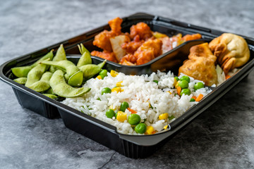 Take Away Japanese Food Bento Box Menu Set with Chicken, Fried Dumplings, Edamame and Rice with Vegetables in Plastic Box Package / Container.