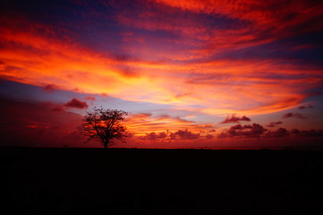 Obraz premium sunset and sunrise is the beauty of nature that is at the end of the night and evening gives the perfect color to the sky so that the clouds look beautiful to look at.