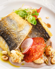 Pike perch fillet in a restaurant serving
