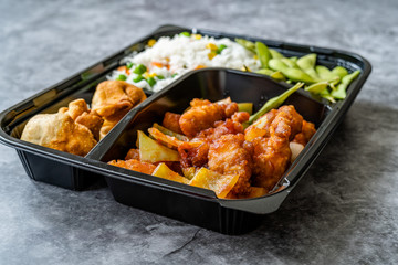 Take Away Japanese Food Bento Box Menu Set with Chicken, Fried Dumplings, Edamame and Rice with Vegetables in Plastic Box Package / Container.