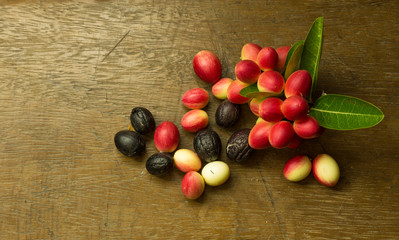 Bengal Currants