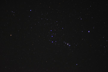 The Orion Constellation