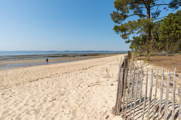 ANDERNOS - ARES (Bassin d'Arcachon, France), site naturel de Saint-Brice	