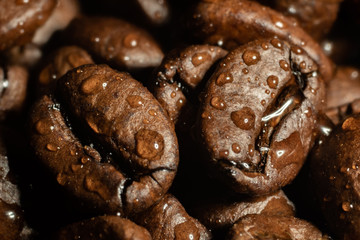 Roasted espresso coffee beans with water drops closeup