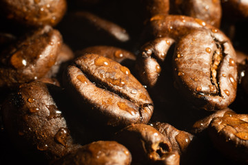 Roasted espresso coffee beans with water drops closeup
