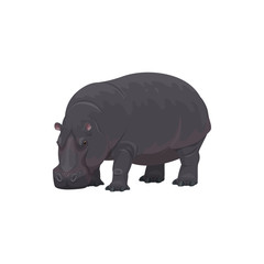 Hippopotamus wild animal vector isolated icon. African safari zoo and savanna hunt trophy hippopotamus