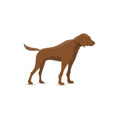 Hunting dog vector isolated icon. Hunter gun or bird dog, waterfowl hunt animal
