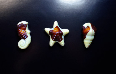 Chocolate candies in the form of sea figures close-up on a black background. Place for text. Copy space