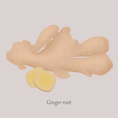 Ginger root whole and sliced in slices on a gray background. Healthy, fresh ginger and logo.