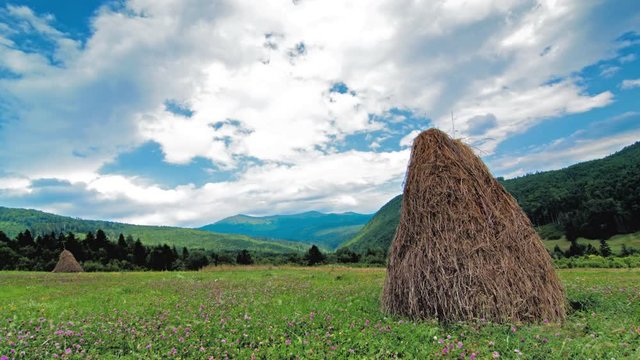 summer landscape with hut